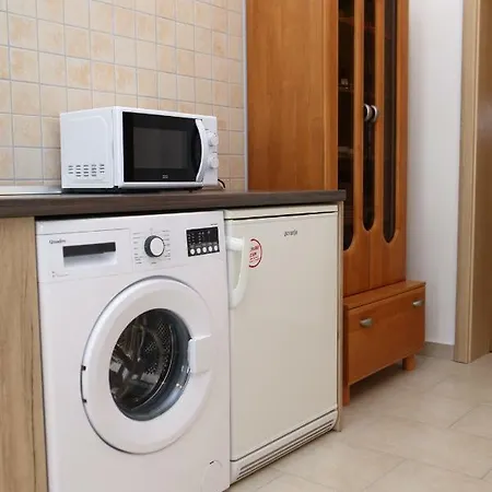 Apartment Vidrice *