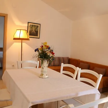 Vidrice Apartment Novigrad (Dalmatia)