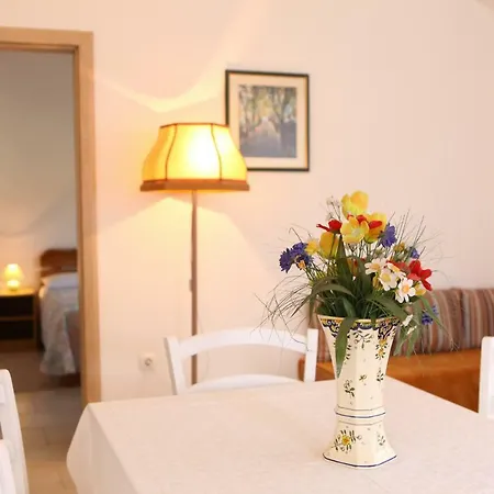 Vidrice Novigrad (Dalmatia)